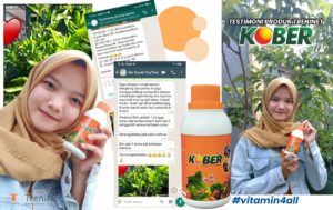 kober treninet pupuk hayati