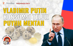 telur puyuh